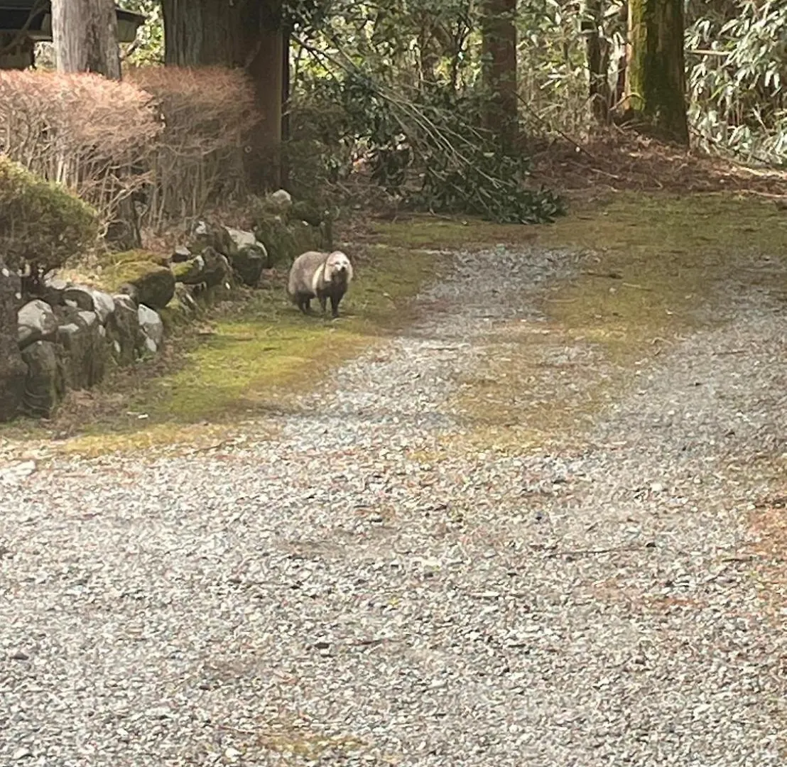 芦之汤Grangiorno Hakone Kowakidani公寓 日本